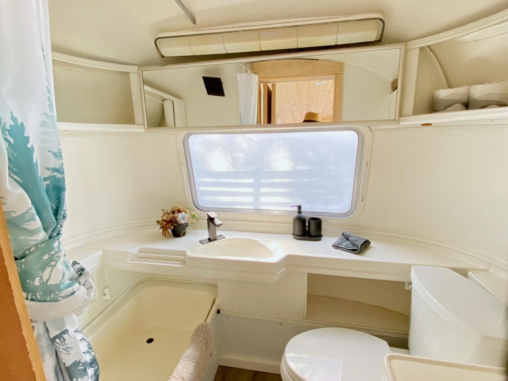 The Whale Apartment